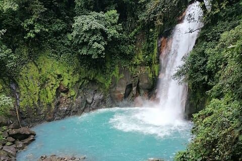 Premium Tour: Sloths og Río Celeste y Cortez vandfald (Tenorio Volcano Park)