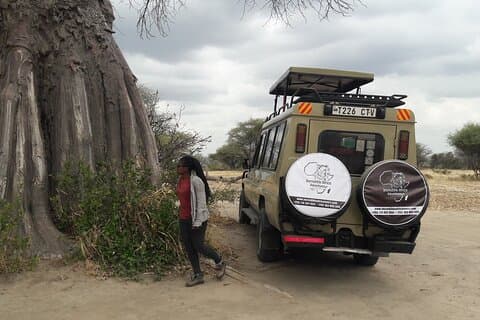 5 dages Tanzania Safari - Migration og Big 5 Safaris