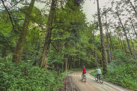 Bike Tour