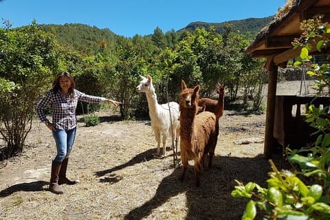 Private Tour - Wanderung und Weinprobe im Penedés