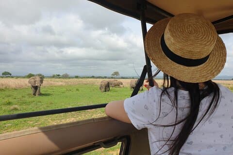 Privat heldagstur till Mikumi nationalpark från Dar es Salaam