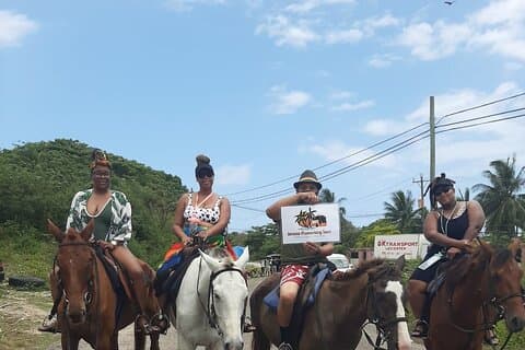 Tour privato a cavallo e Blue Hole Secret Falls