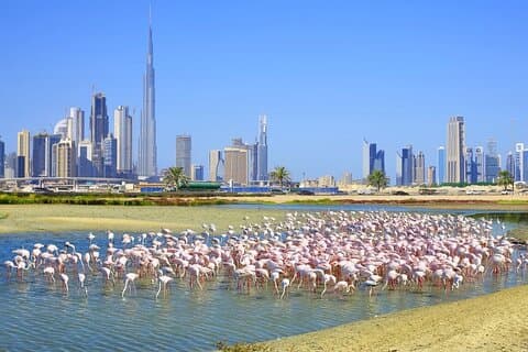 Encantador recorrido por la ciudad de Dubai con The View at The Palm - Atracción turística escénica