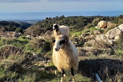 Vandra i Rethymno: Maroulas... Okänt men fantastisk väg, för riktiga upptäcktsresande