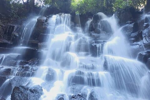 Trekking and Tegallalang Rice Terace Field Including Cascade Waterfall Tour
