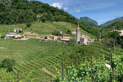 Een sprankelende dag in de Prosecco Hills vanuit Venetië
