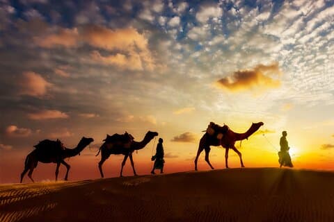 Tramonto o alba Cammello nel deserto del Sahara di Douz