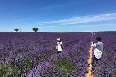 5 - Hours Lav en der Fields Tour em Valensole a partir de Aix-en-Provence
