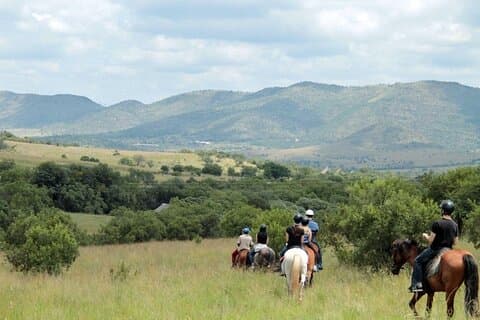 Harties Horse Trail Safari Halv dag