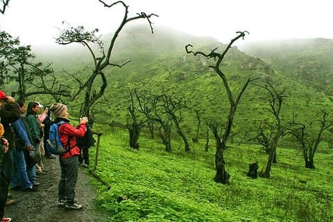Hiking in Lima, Lomas de Lachay