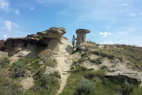 Drumheller Dinosaur Valley & Horseshoe Canyon Adventure Day Tour