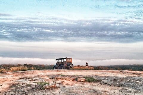 Excursão de safári de meio dia ao nascer do sol no Parque Nacional Kruger