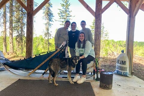 Summer Dog Sledding Adventure in Willow, Alaska