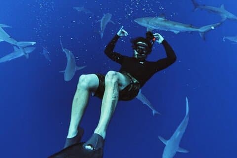 Tour de plongée du requin pélagique
