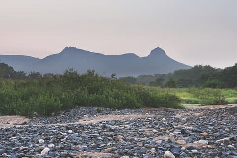 Mkuze River Bird Walk
