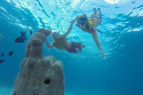 Cancun Snorkeltur: Simma med sköldpaddor, rev, undervattensmuseum och skeppsvrak
