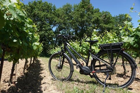 Full day E-Bike rental around the Mont-Ventoux