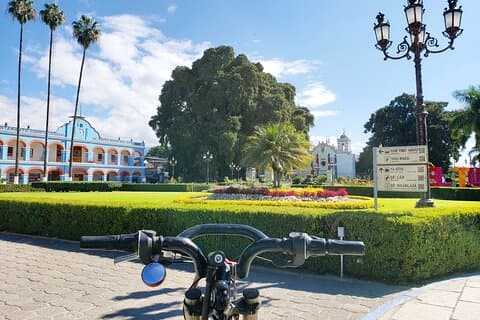 Bike Adventure to the Tule Tree – Fun Guided Ride