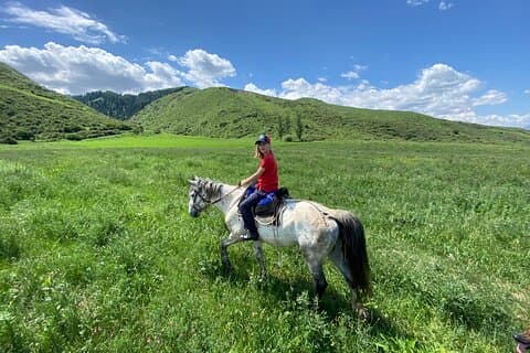 Um soberbo passeio a cavalo no vale de Chon Kemin, 1 dia