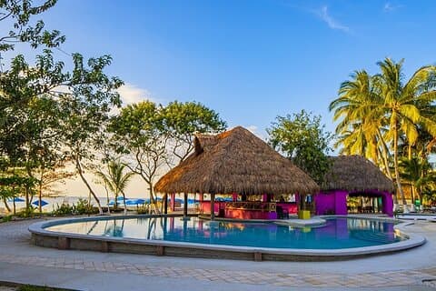 Playa Uvas Open Bar Exclusive Pass