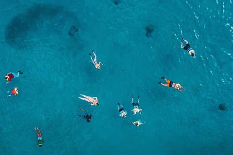 Waikiki : 2 - time Turtle Canyon snorkling eventyr