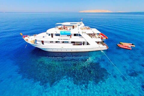 Snorkeltur på ön Tiran med båt i Sharm El Sheikh