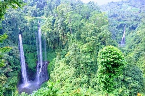 Visite privée de la cascade magique de Sekumpul dans le nord de Bali