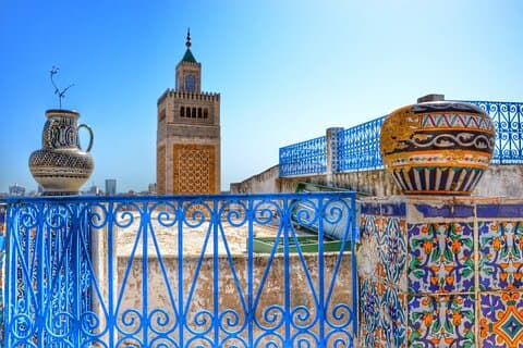 Half-Day Bardo Museum and Tunis Medina Tour with Licensed Guide