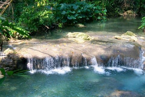 Tour privato a piedi del fiume Mayfield Falls