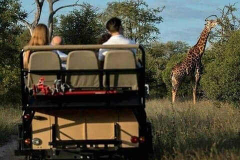 3-daagse privé-budgetsafari naar Serengeti Np en Ngorongoro Crater