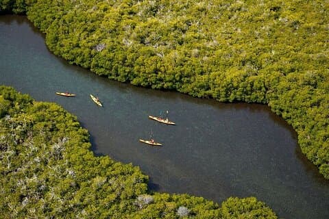 2 ore di safari in kayak a Bahía de La Paz