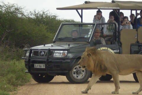 Sunset Safari of Kruger National Park