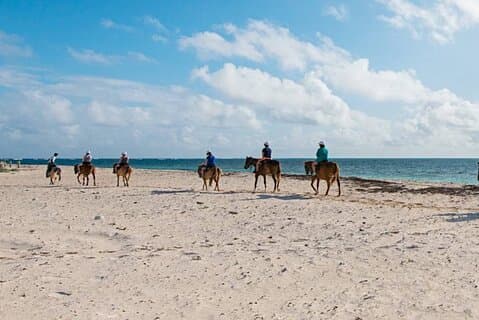 Passeio a cavalo privado na praia