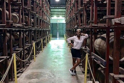 Ys Falls and Appleton Estate Factory Tour with private transportation
