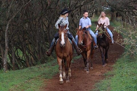 Privat Sweetheart Ridning