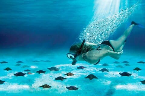 Snorkel Tour in Cozumel