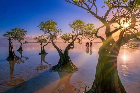 4 Days 3 Nights tour to Explore Best of West Sumba and East Sumba
