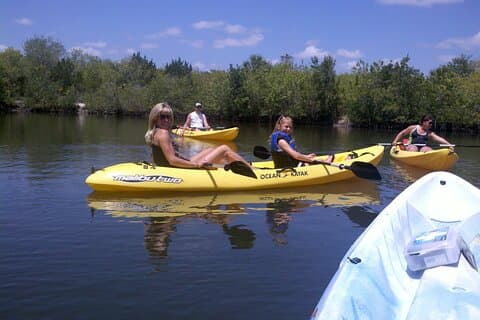 1-Hour Tandem Kayak Rental with Manatee & Dolphin sightings