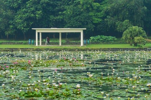 Ganztägige private Tour durch Bogor City von Jakarta mit Abholung