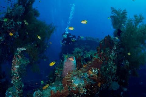 Bali: Mergulho de Tulamben no USS Liberty Shipwreck