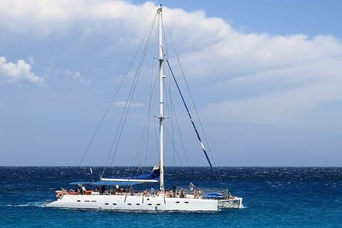 Val- och delfinskådning på Teneriffa (Puerto Colon) på en stor katamaran