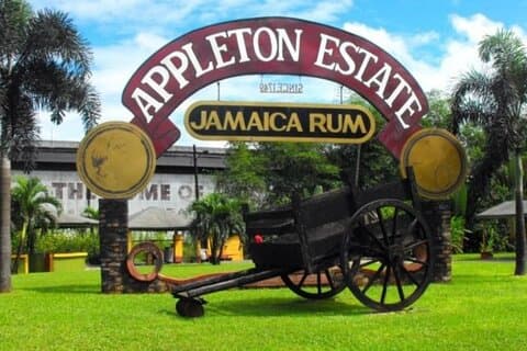 Heldags YS Falls og Appleton Estate Tour fra Montego Bay