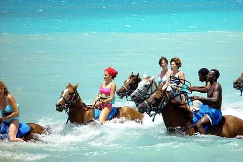 Ridning, Blue Hole, Dunn's River, River Rafting och Tubing Private Tour