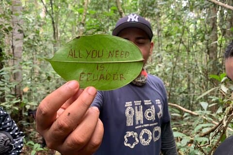 Cuyabeno Dolphin Lodge https://cuyabenodolphinlodge.com/