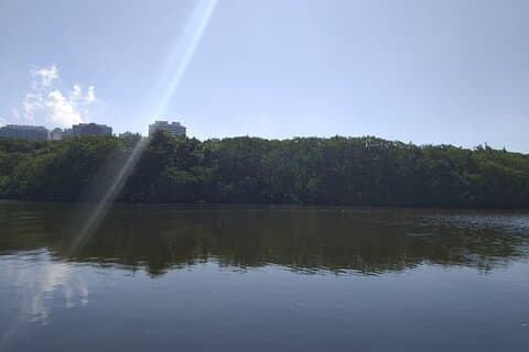Half-Day Boat Tour in Marapendi Lagoon from Rio de Janeiro