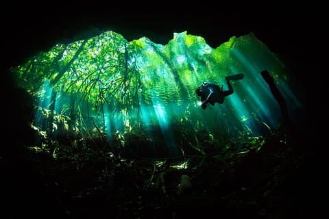 Cenote Diving - Voyage de plongée avec 2 réservoirs pour plongeurs certifiés