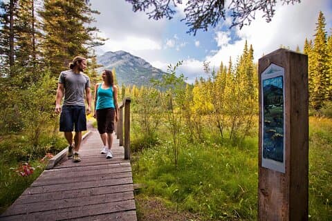 Banff Lost Towns og untold stories! 2 timers gåtur + transport