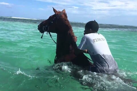 Martha Brae Rafting, Horseback Riding and Luminous Lagoon - Triple Treat