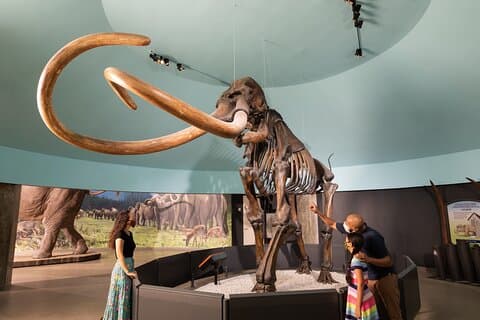 La Brea Tar Pits and Museum Admission Ticket with Excavator Tour