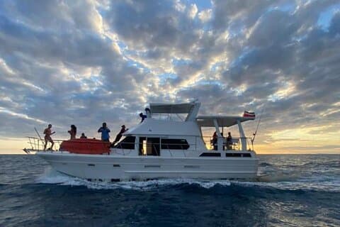 Half-Day Private Cruise in Bahía Herradura